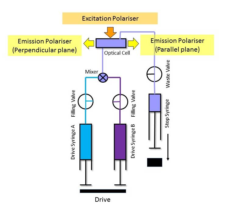 fluorescence-polarisation-tgk-scientific-stopped-flow-solutions