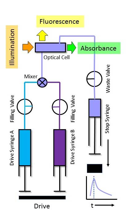 stopped-flow-tgk-scientific-stopped-flow-solutions